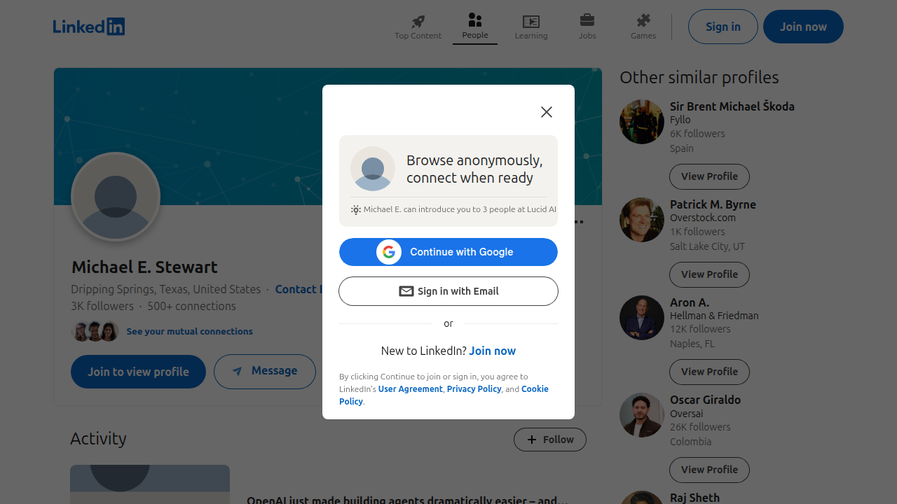Michael Stewart's LinkedIn profile highlights his extensive entrepreneurial career focused on intelligent systems and understanding information meaning.